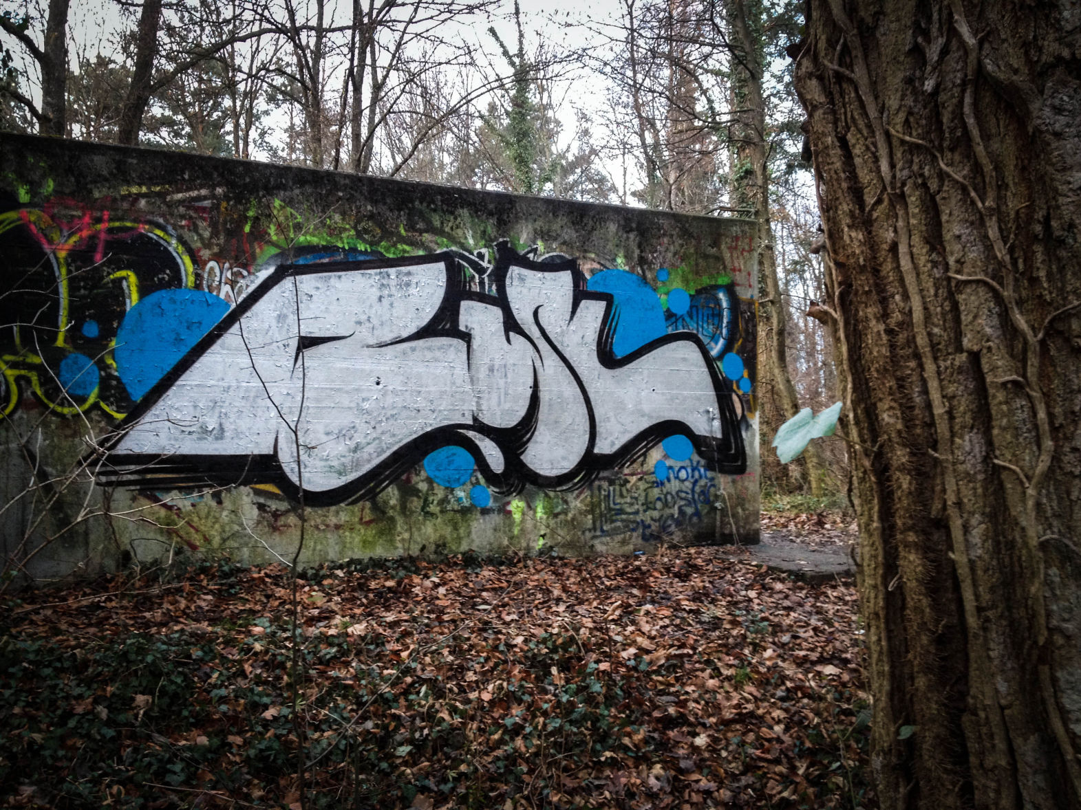 Rusl in Konstanz © 2012