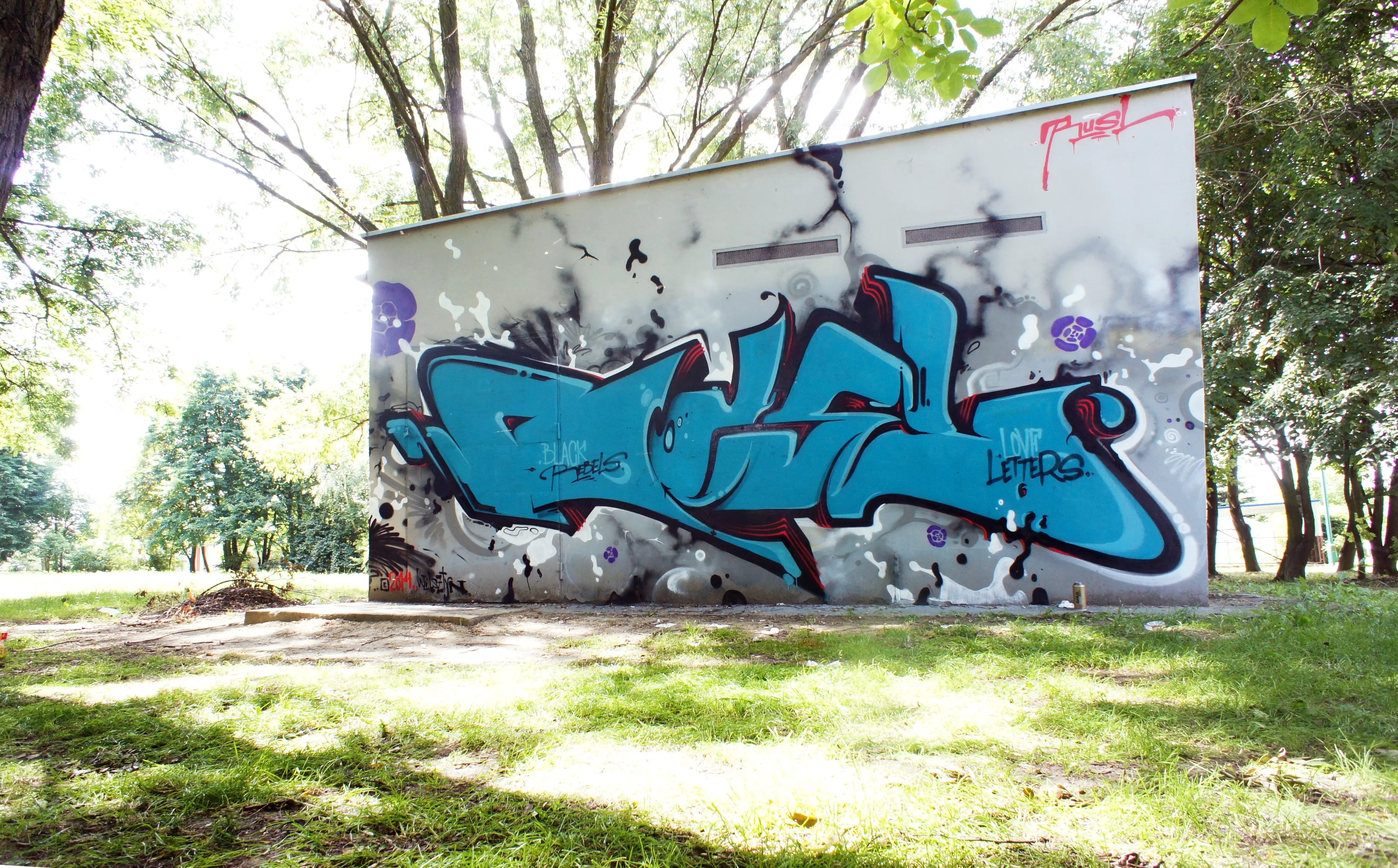 RUSL in Wolsztyn Polan © 2014